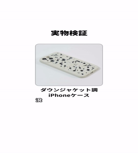 実物検証