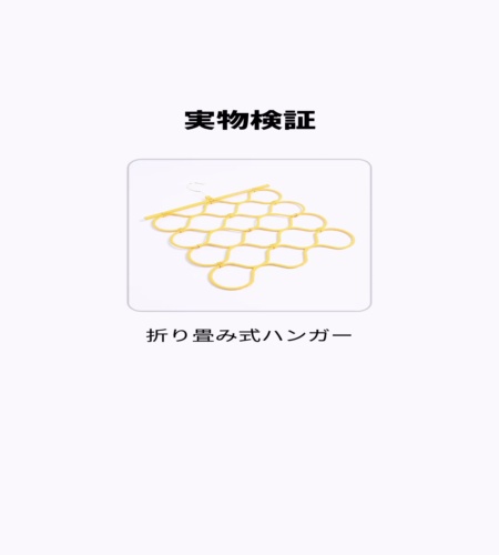 実物検証