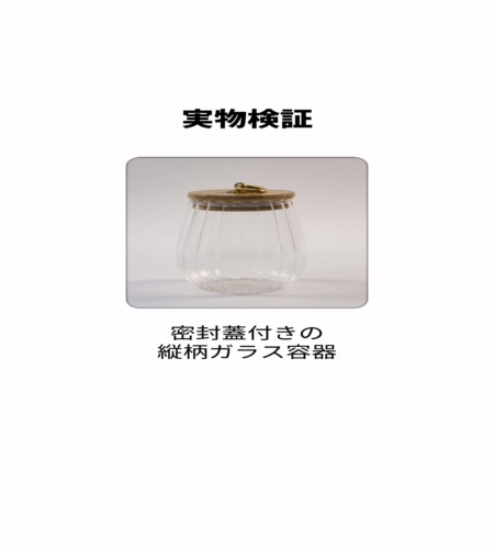 実物検証