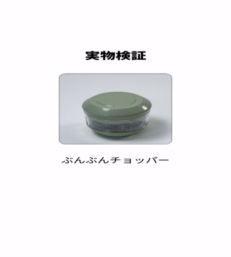 実物検証