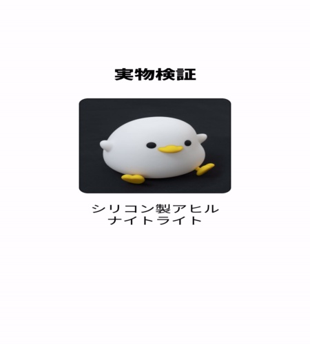 実物検証