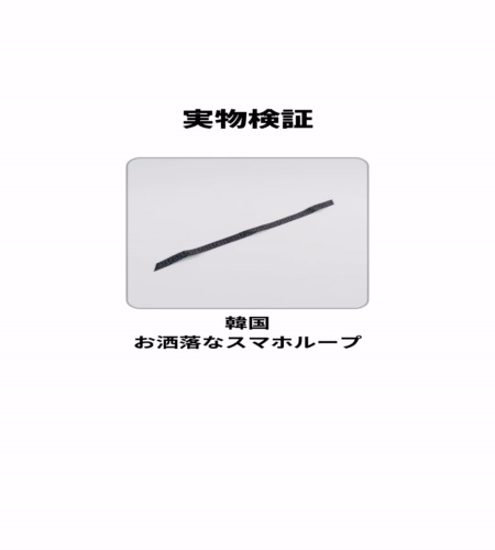 実物検証