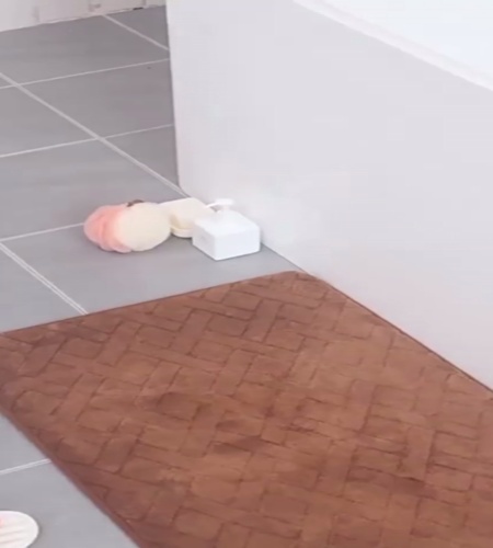 紹介動画