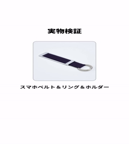 実物検証