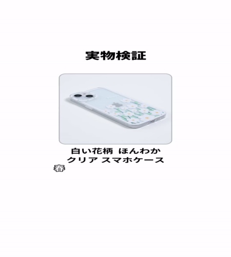 実物検証