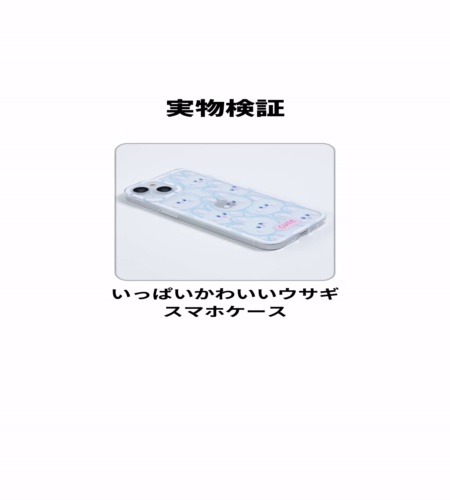 実物検証