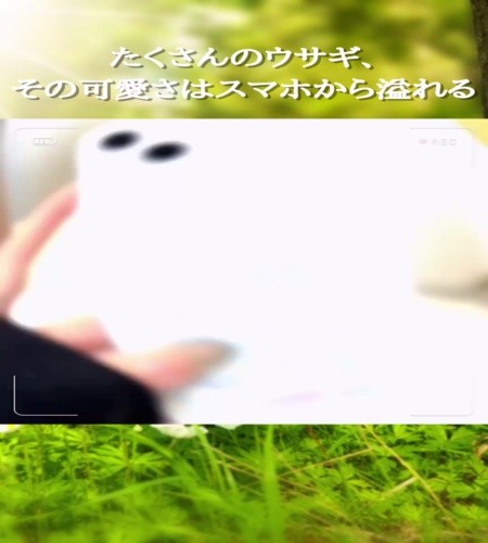 紹介動画