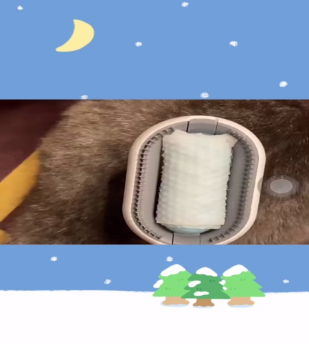 紹介動画