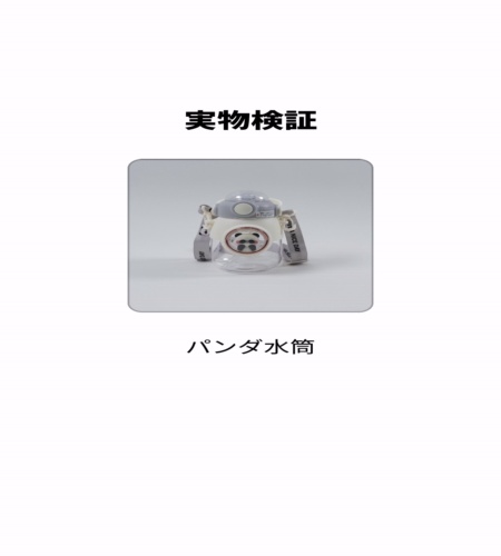 実物検証