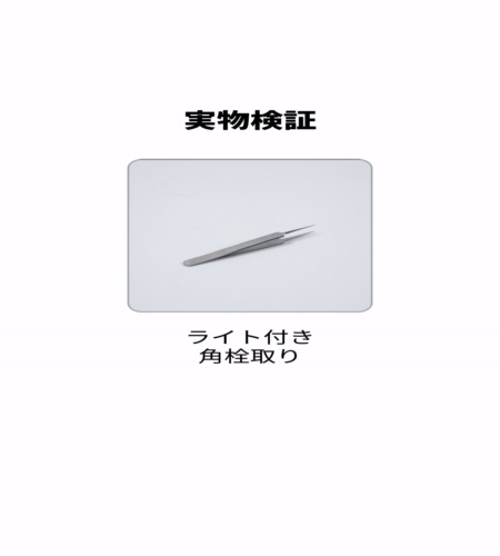 実物検証