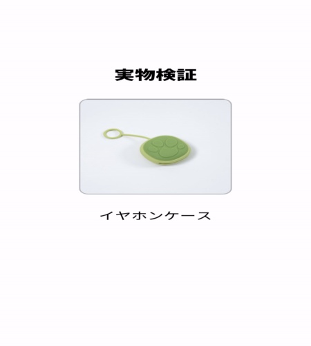 実物検証