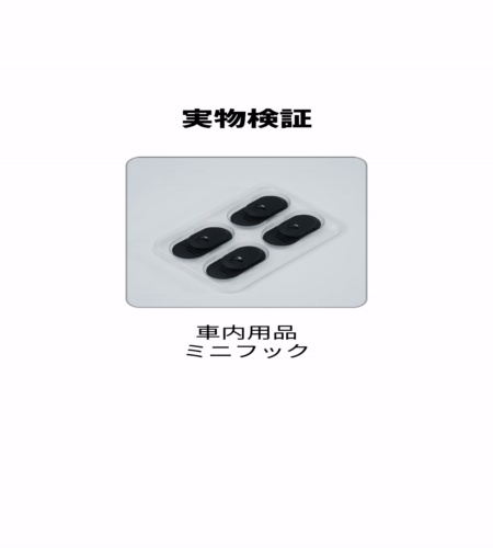 実物検証