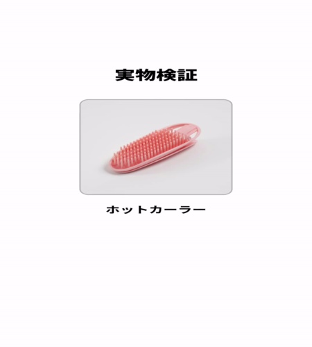 実物検証