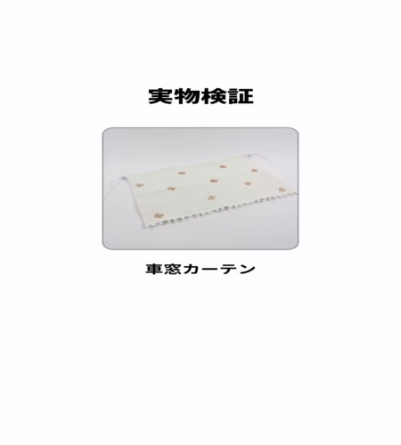 実物検証