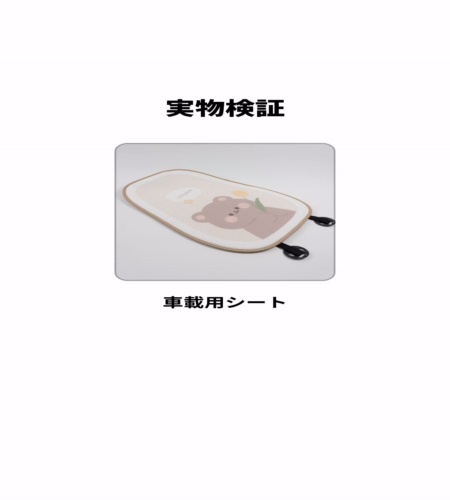 実物検証