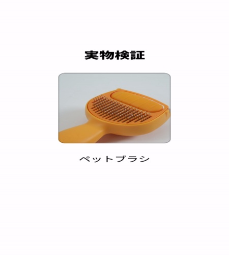 実物検証