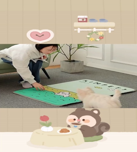 紹介動画