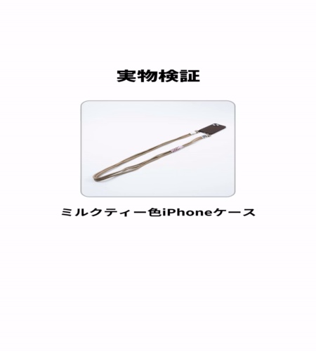 実物検証