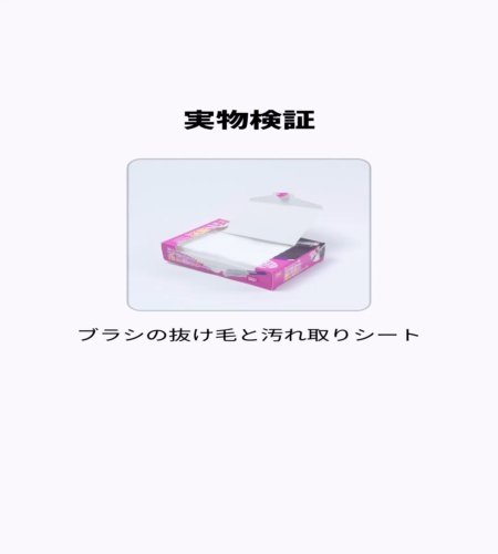 実物検証
