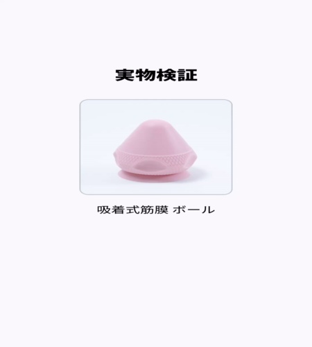 実物検証