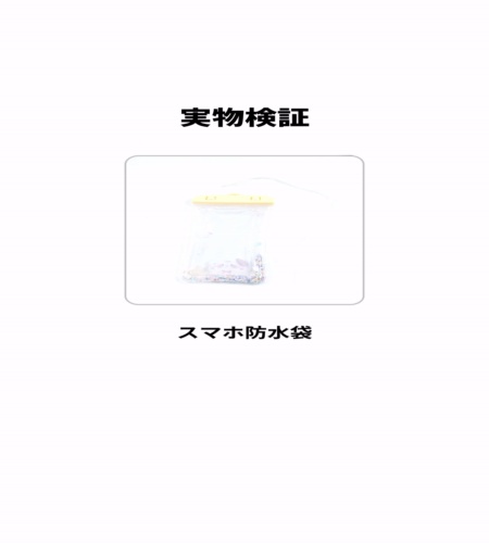 実物検証