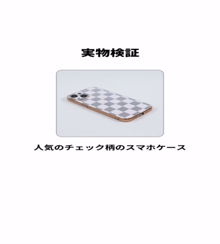 実物検証