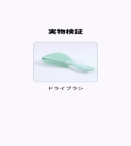 実物検証