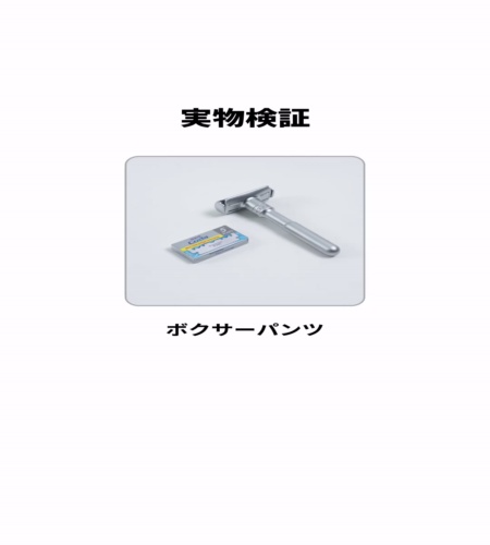 実物検証