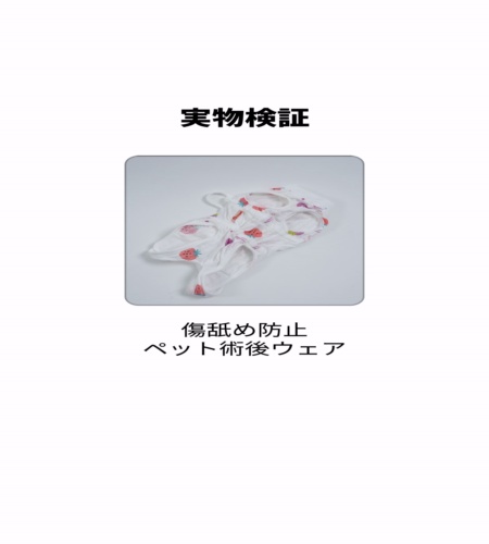 実物検証