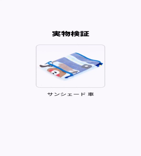実物検証