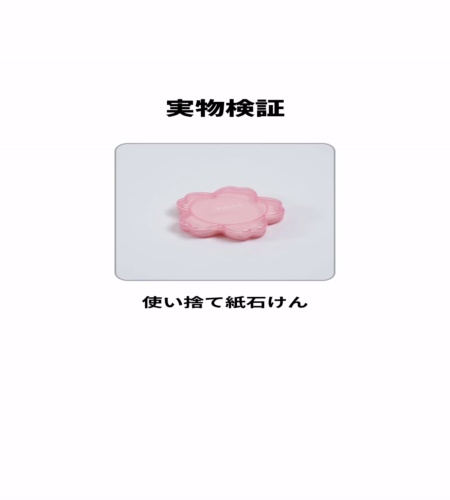 実物検証
