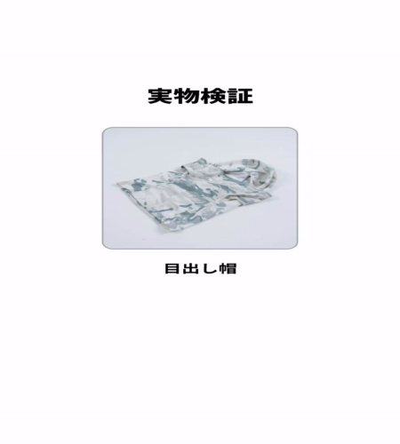 実物検証