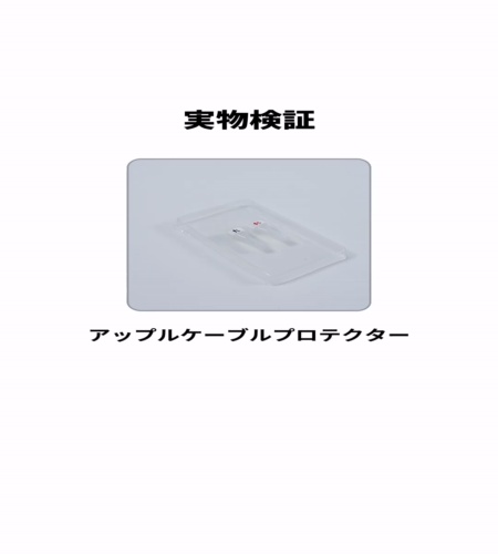 実物検証