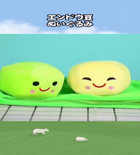 紹介動画