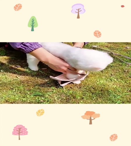 紹介動画