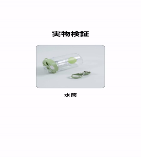 実物検証