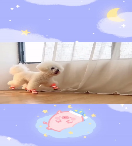 紹介動画