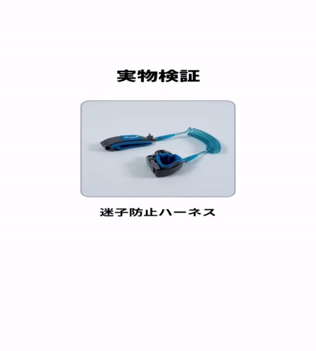 実物検証