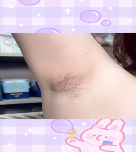 紹介動画