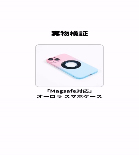 実物検証