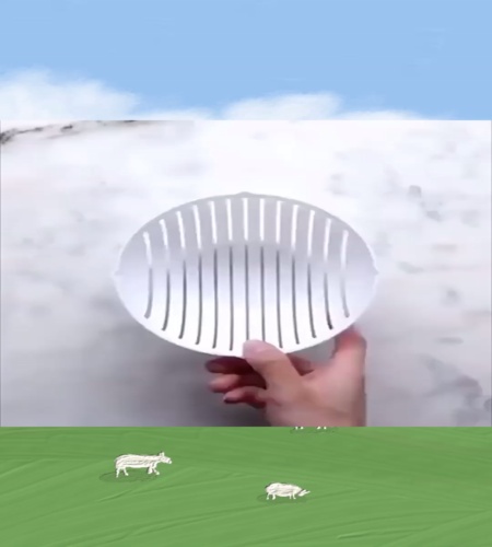 紹介動画