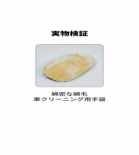 実物検証