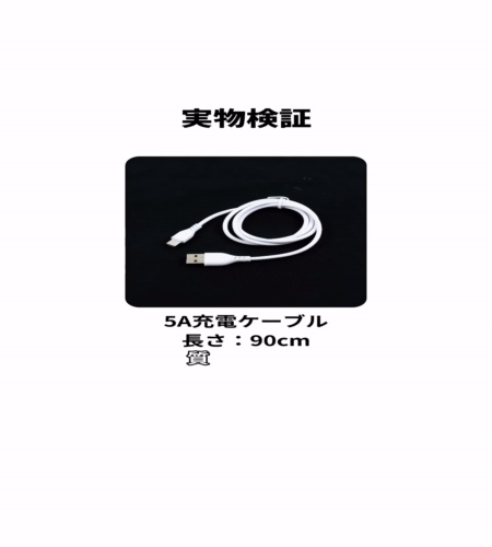 実物検証