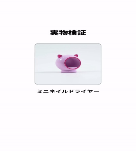 実物検証