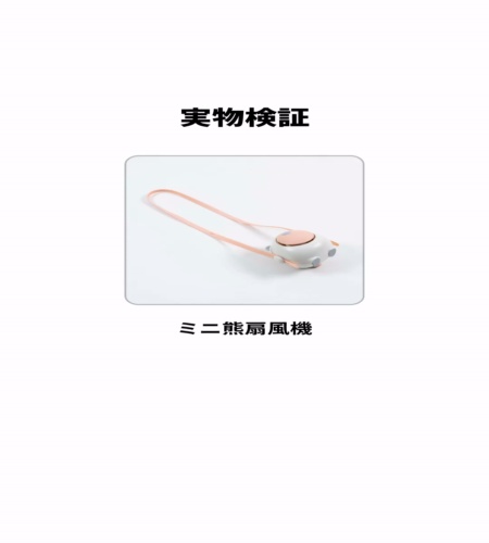 実物検証