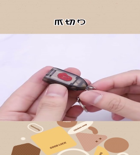 紹介動画
