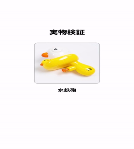 実物検証