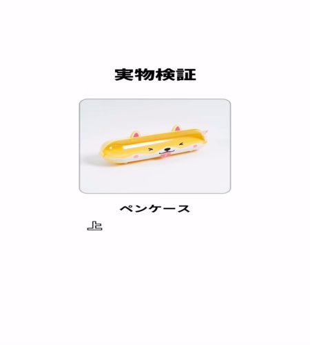 実物検証