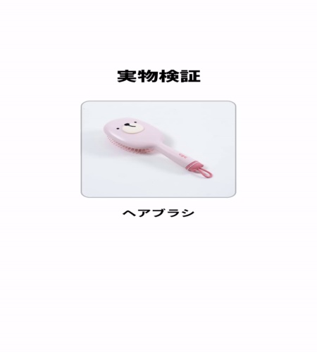 実物検証