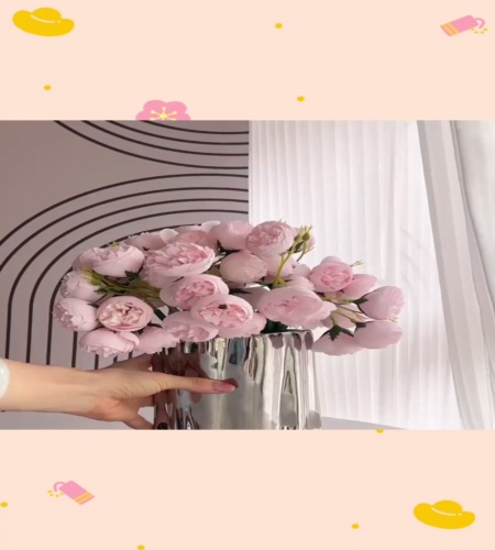 紹介動画